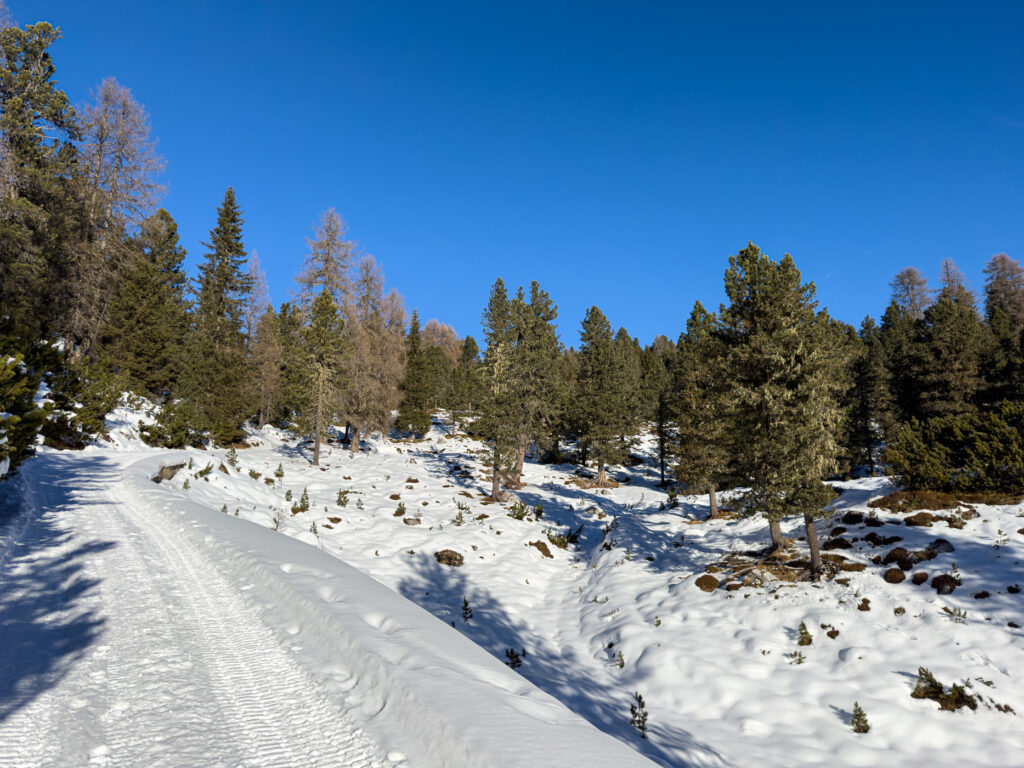 Rückweg nach Pederü