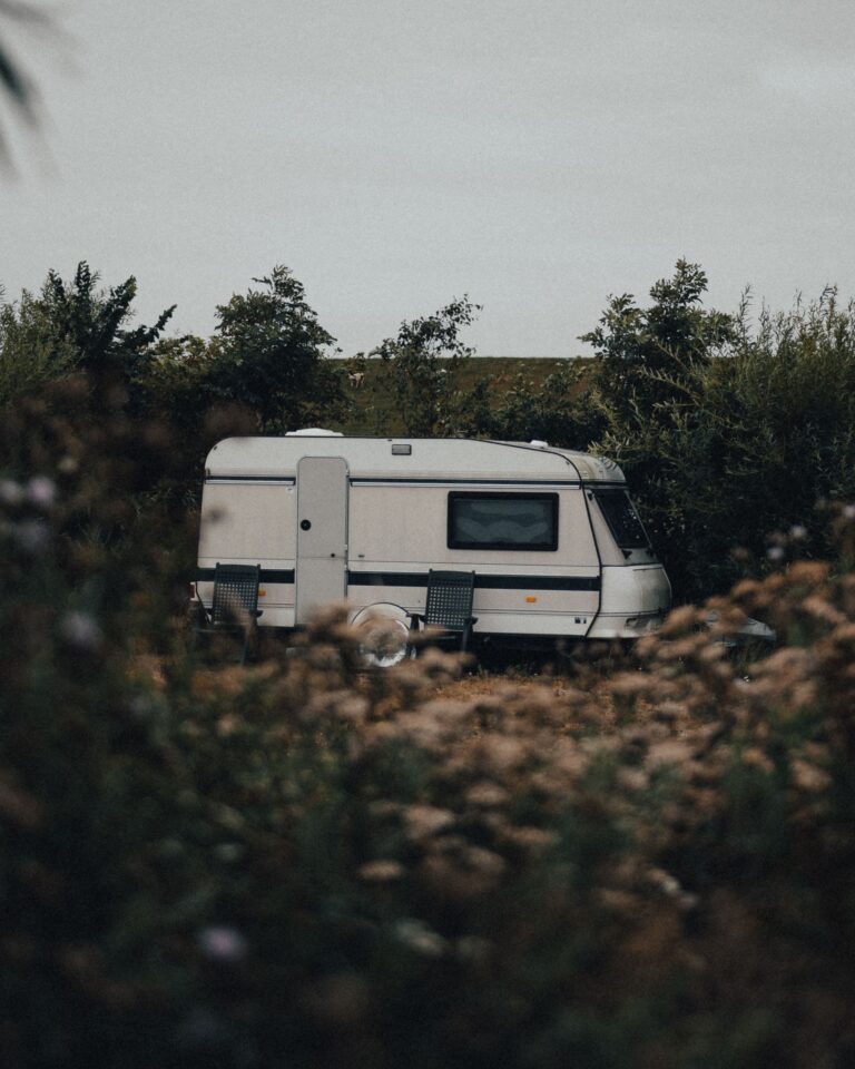 A white campervan nestled in greenery, perfect for an outdoor adventure.